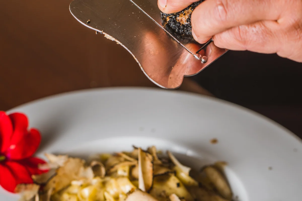 Pljukanci with truffles background